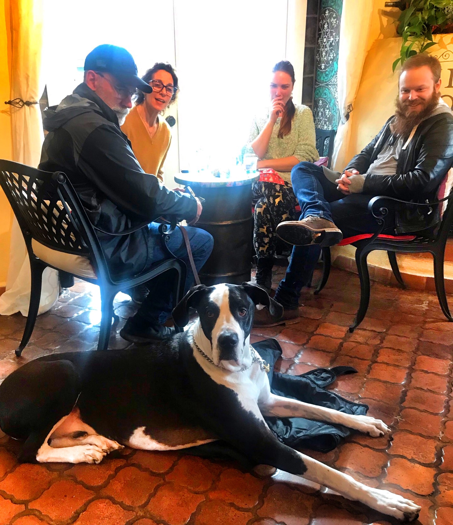 Guests with Great Dane dog at Vino Zona