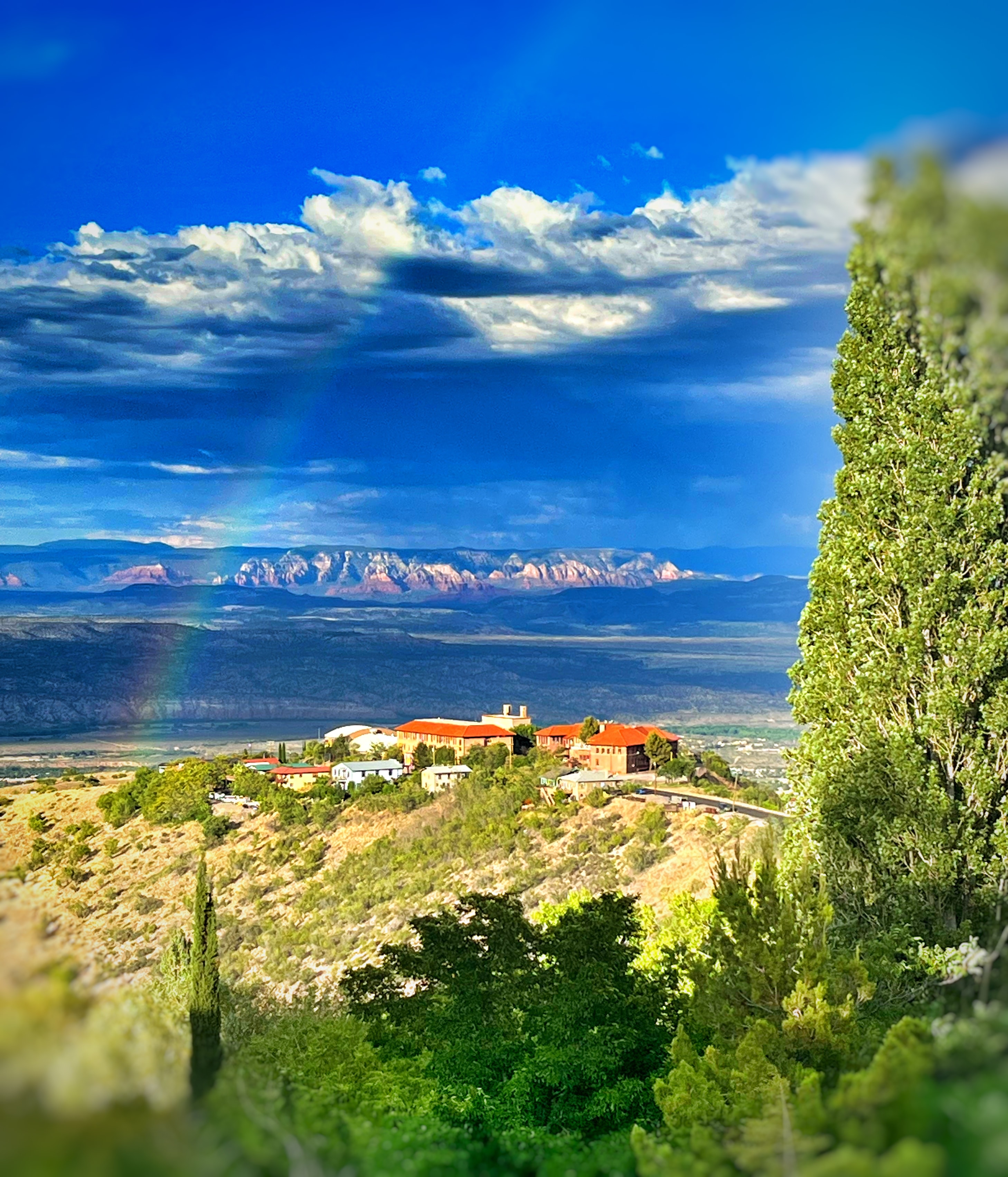 Photo at Vino Zona